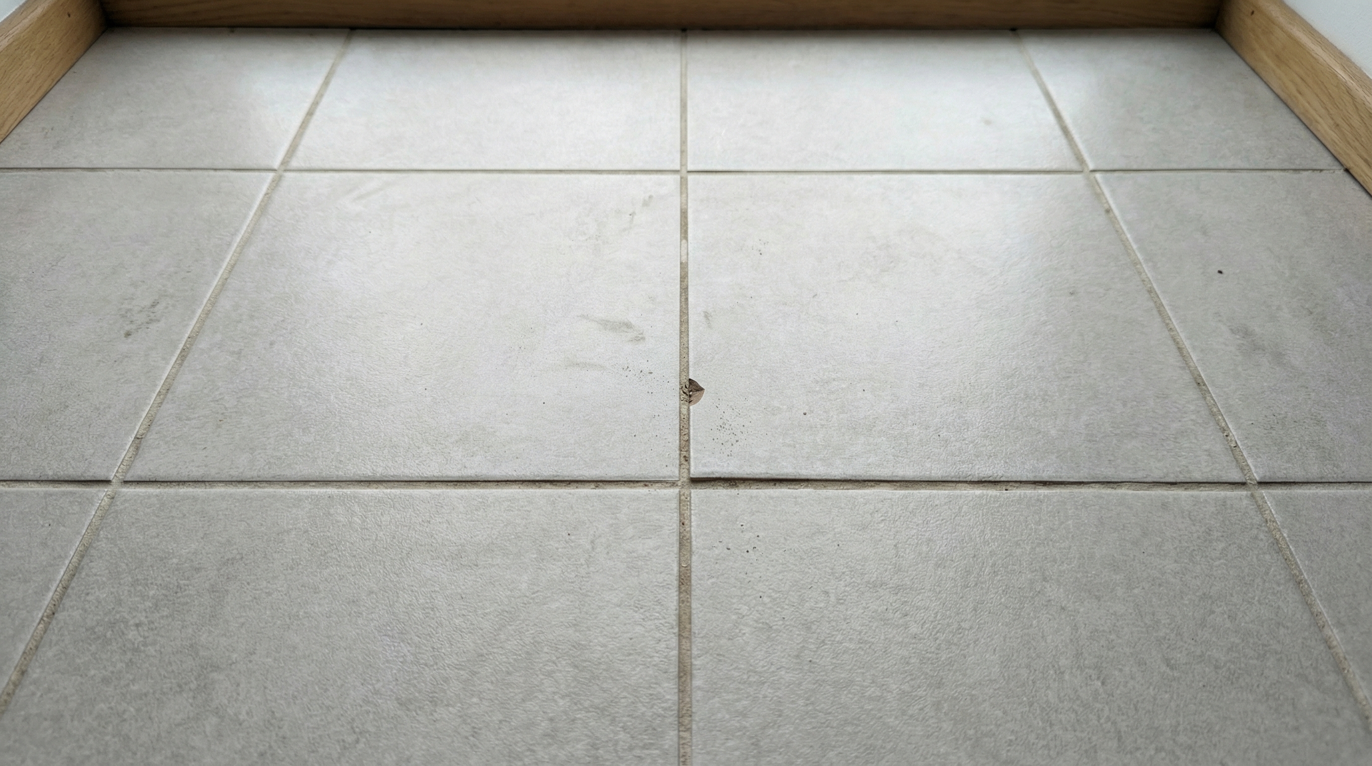 tile chip repair Brisbane before